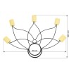 Abanicos de fuego 5 puntas Lotus - Par ▷ Comprar en 441Malabares